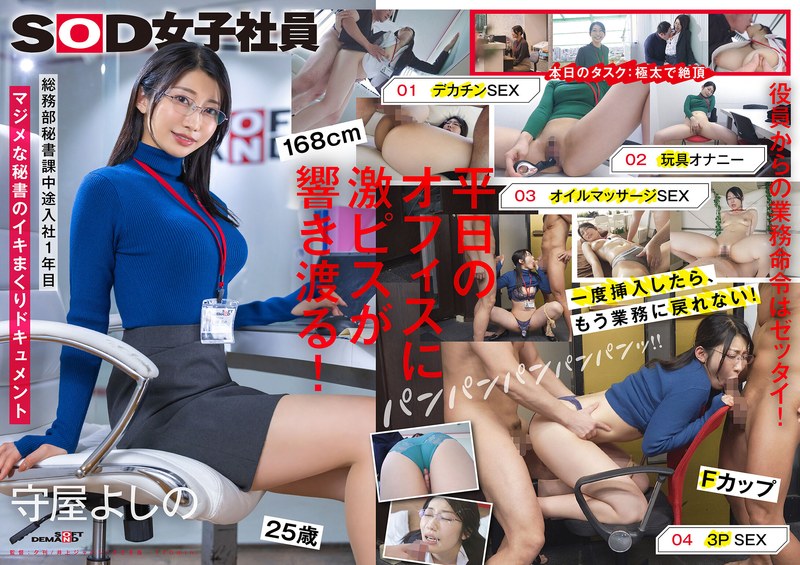 1sdjs00312pl