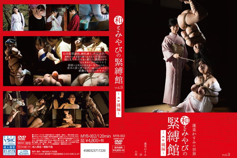 H 1516myb00002pl