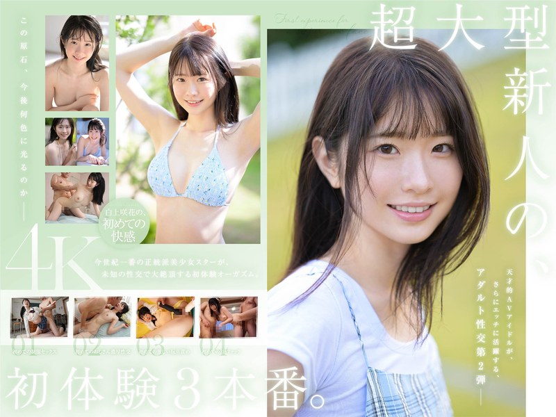 Sone00219pl